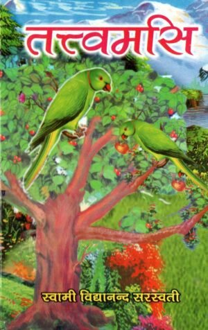 तत्त्वमसि Tattvamasi