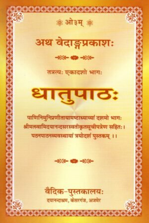 Dhatupath Vedang Prakash Vol 11
